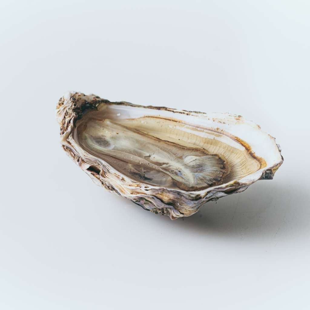 Oyster Gift Box by Porlock Bay Oysters